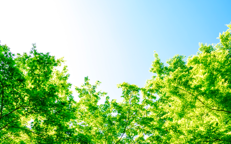 Philosophy 経営理念